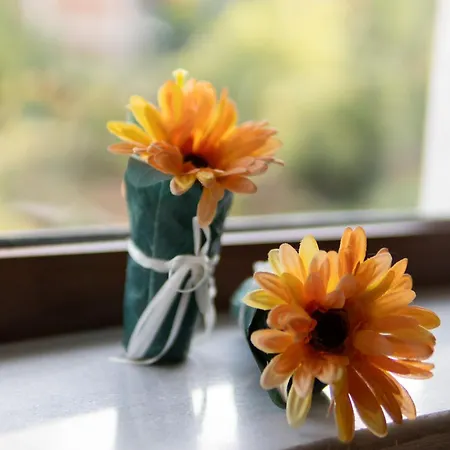 Ersis Retreat Dom wakacyjny *